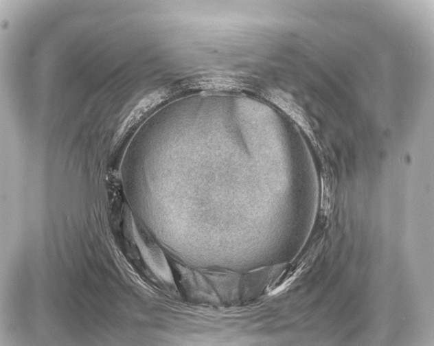 X0000087050109200704251014