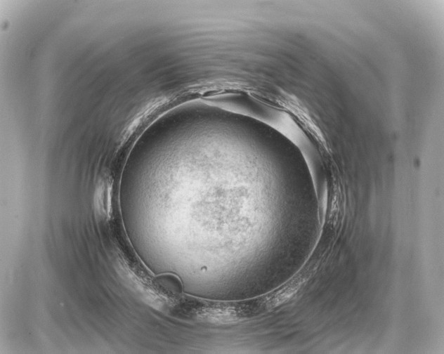 X0000087050110200704251014