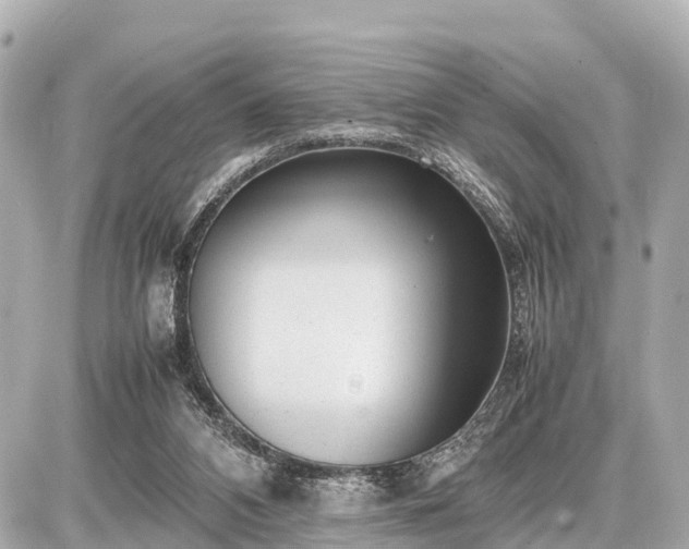 X0000087050112200704251014