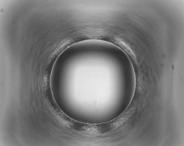 X0000087050113200704251014