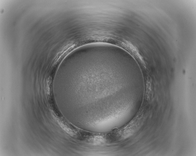 X0000087050114200704251014