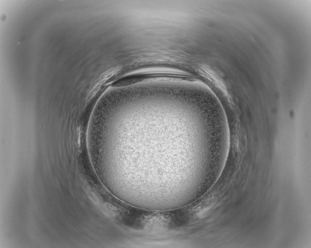 X0000087050115200704251014