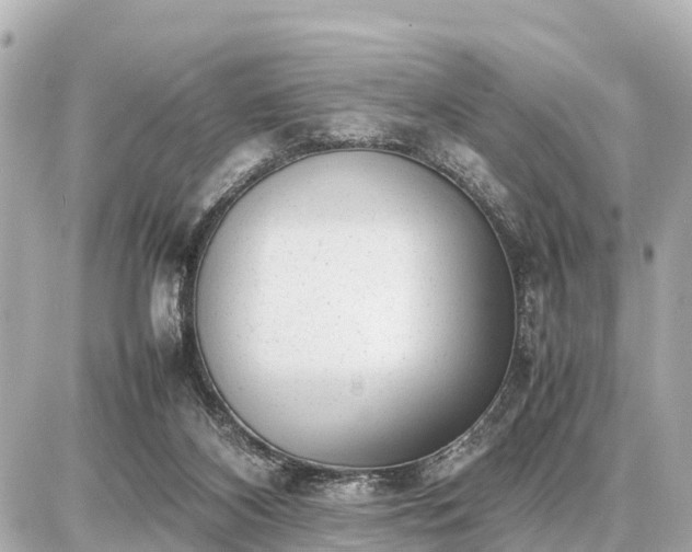 X0000087050116200704251014