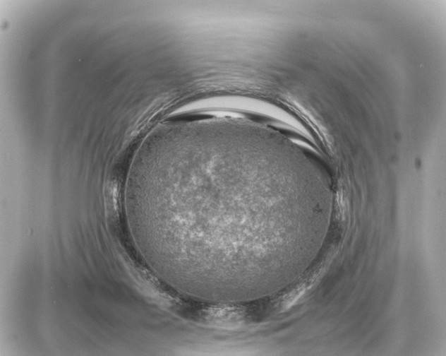 X0000087050117200704251014