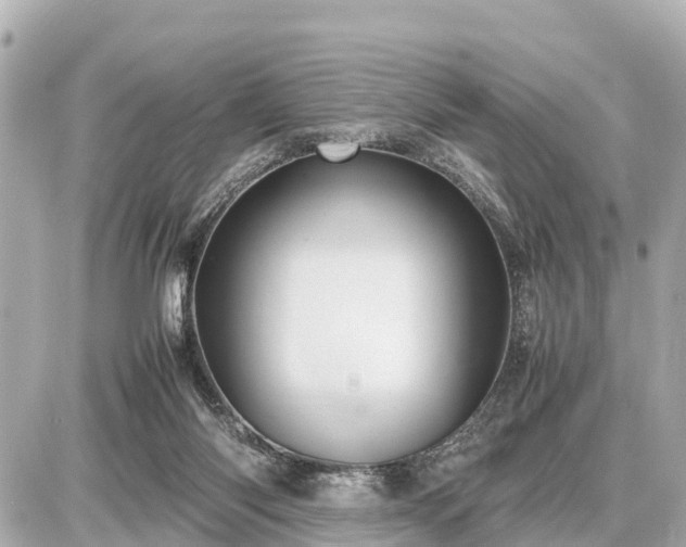 X0000087050118200704251014