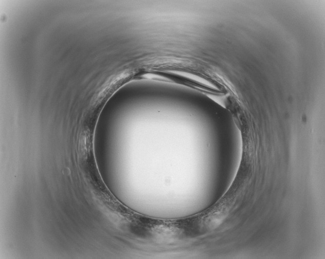 X0000087050119200704251014