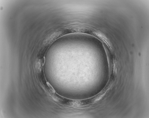 X0000087050121200704251014