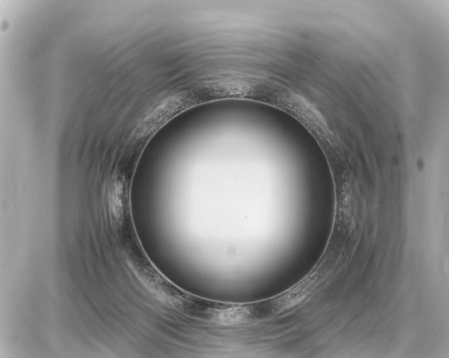 X0000087050122200704251014