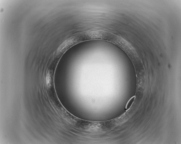 X0000087050124200704251014