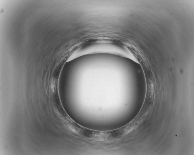 X0000087050125200704251014