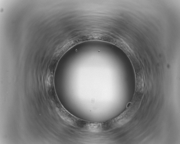 X0000087050126200704251014