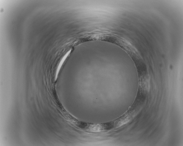 X0000087050127200704251014