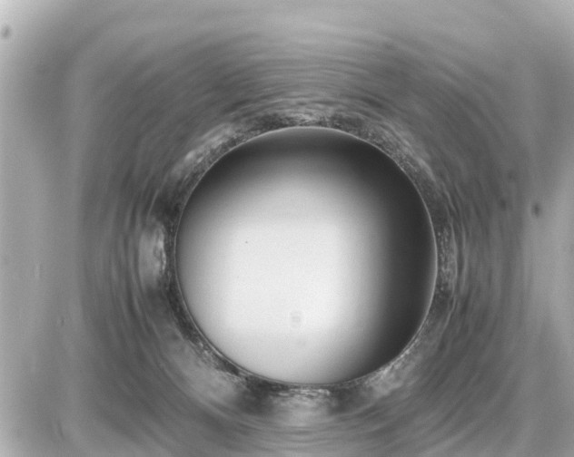 X0000087050128200704251014