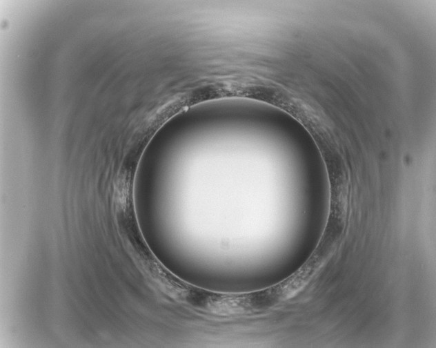 X0000087050129200704251014