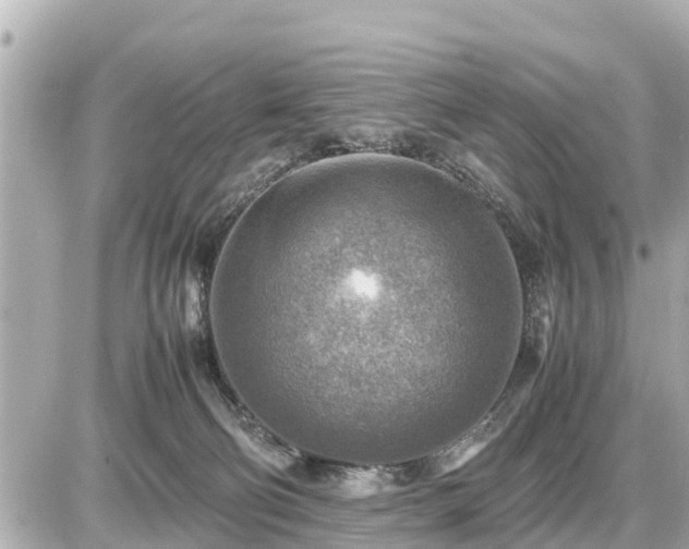 X0000087050130200704251013