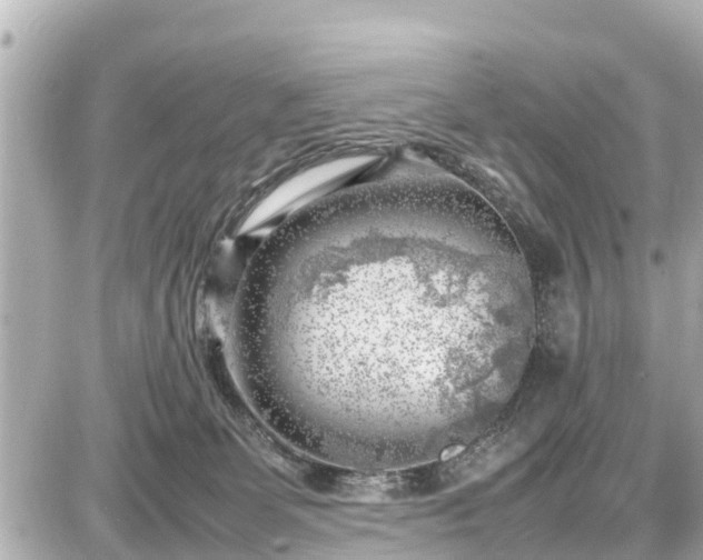 X0000087050131200704251013