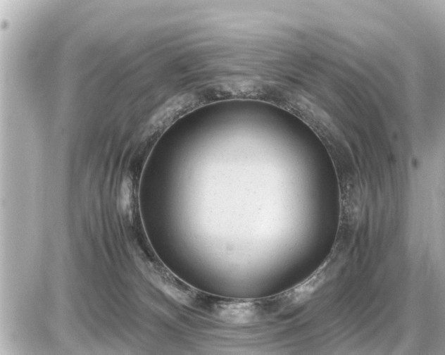 X0000087050132200704251013