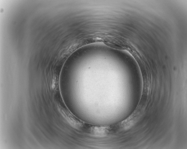 X0000087050134200704251013