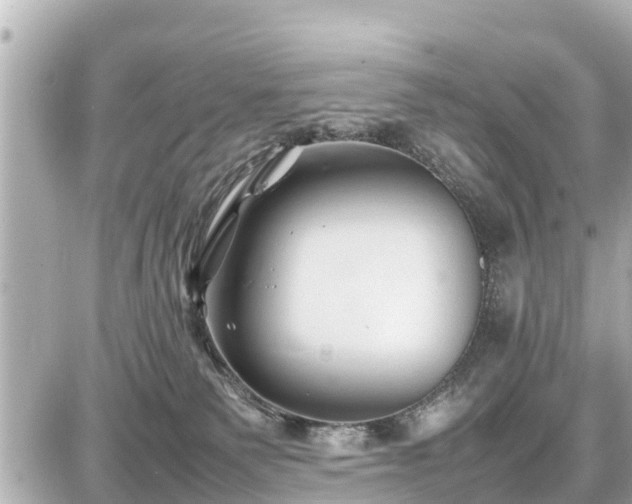 X0000087050135200704251013