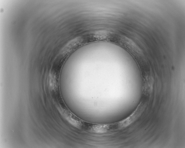 X0000087050136200704251013