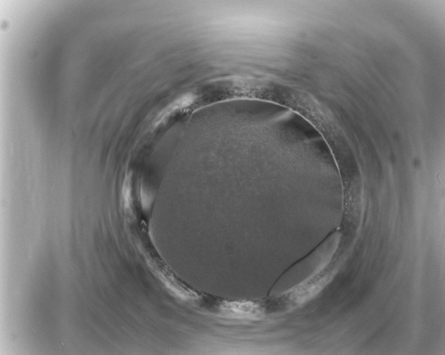 X0000087050137200704251013