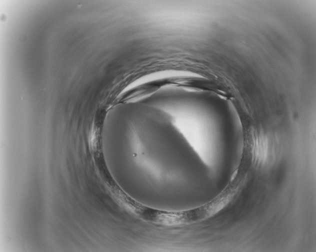 X0000087050139200704251013