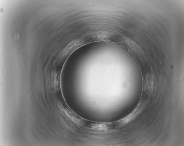 X0000087050140200704251013