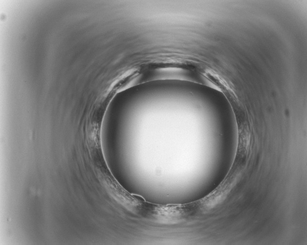 X0000087050141200704251013