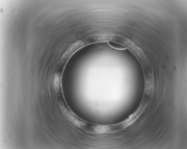 X0000087050142200704251013