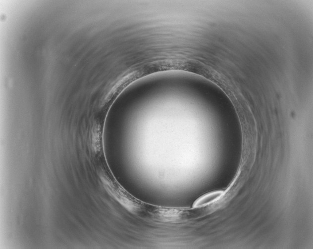 X0000087050144200704251013