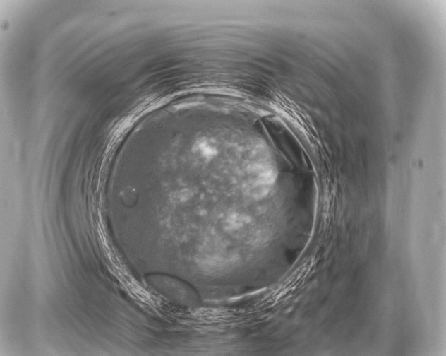 X0000087050145200704251012