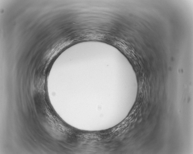 X0000087050146200704251012