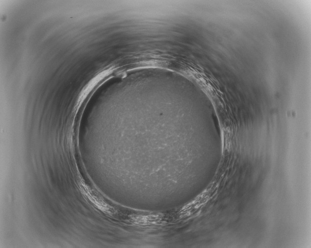 X0000087050147200704251013