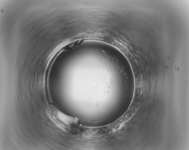 X0000087050148200704251013