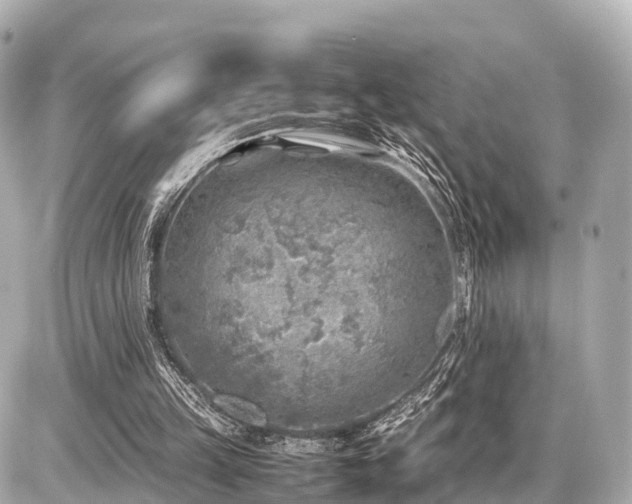 X0000087050149200704251013