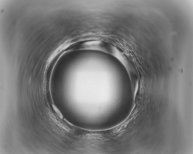 X0000087050150200704251013