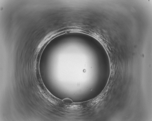 X0000087050151200704251013