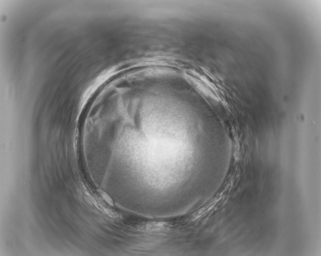 X0000087050152200704251013