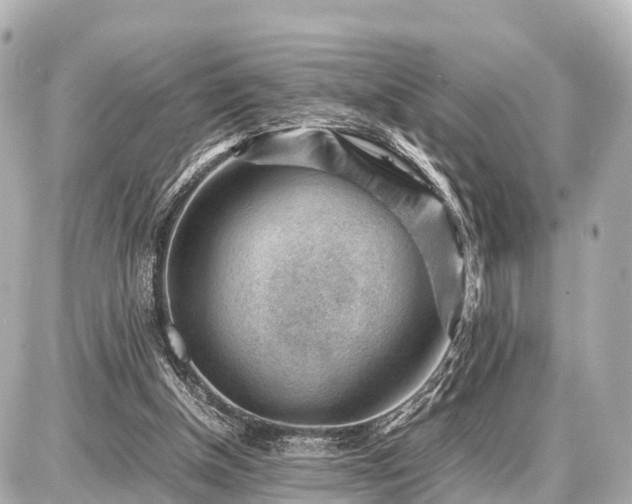 X0000087050154200704251013