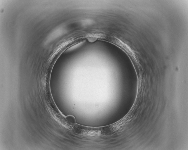 X0000087050155200704251013