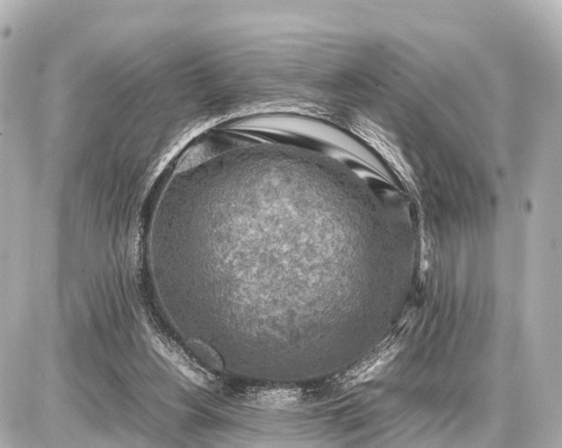 X0000087050156200704251013