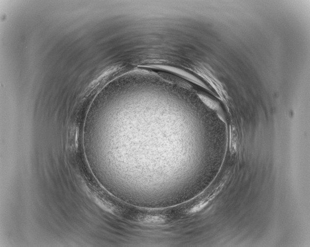 X0000087050157200704251013