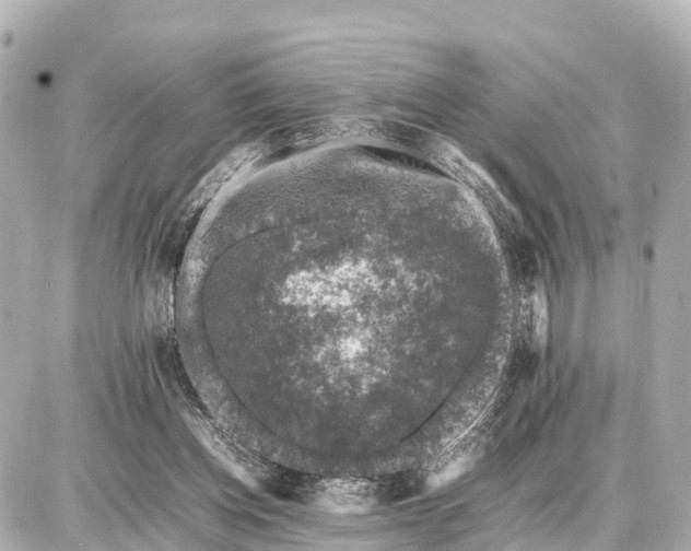 X0000087050158200704251013