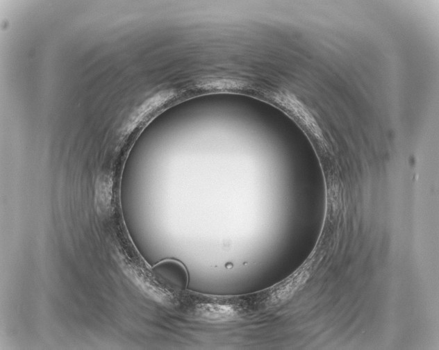 X0000087050159200704251013