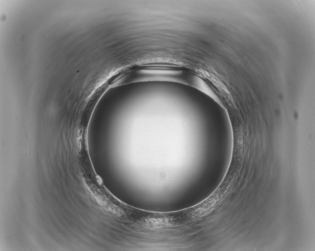 X0000087050160200704251013