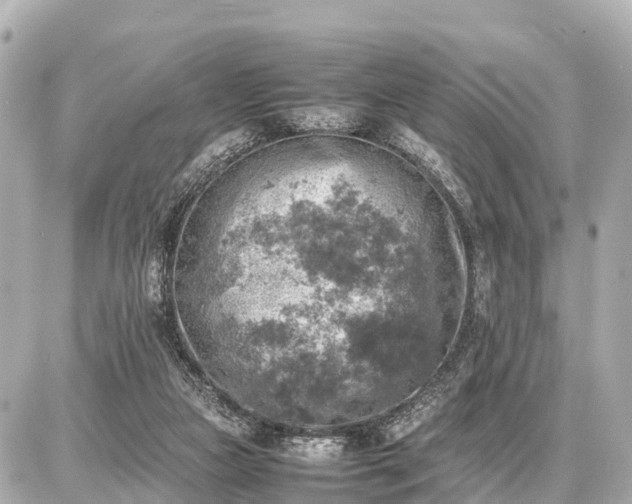 X0000087050161200704251013