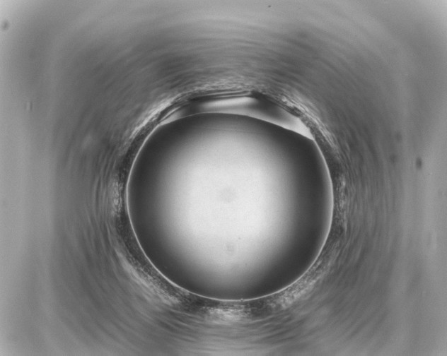 X0000087050164200704251013