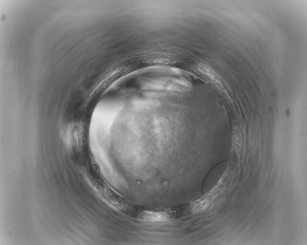 X0000087050167200704251013