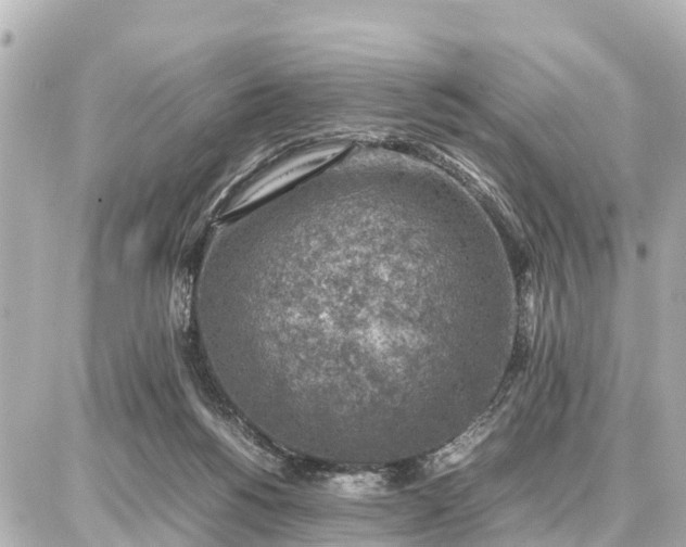 X0000087050168200704251013