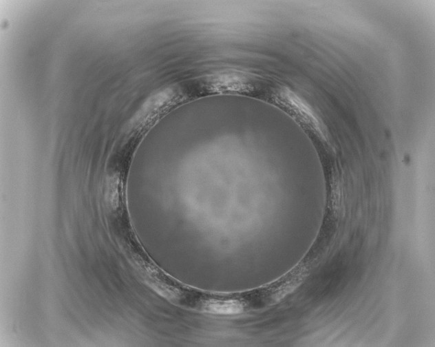 X0000087050169200704251013